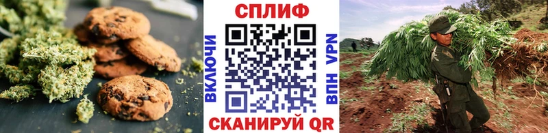 Canna-Cookies марихуана  Купить где  Вольск 