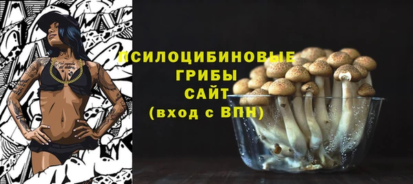 прущий лед Кулебаки