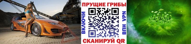 Псилоцибиновые грибы Psilocybine cubensis  Купить где  Вольск 